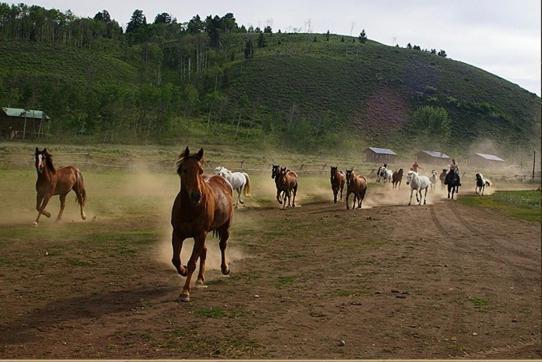 Parade Rest Ranch West Yellowstone Exterior foto